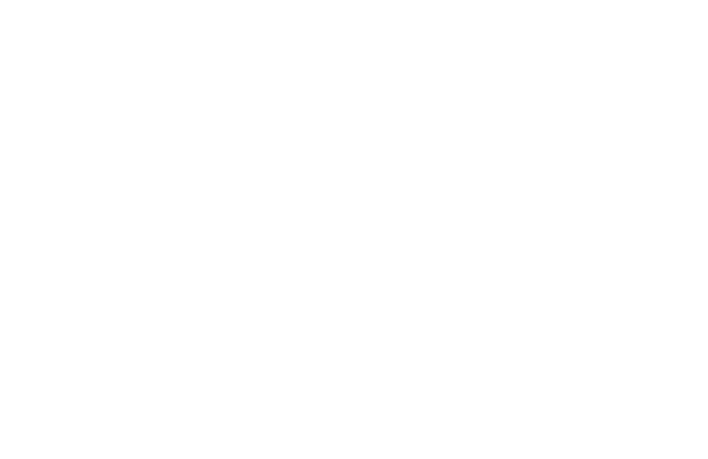 Champion Laundry Service